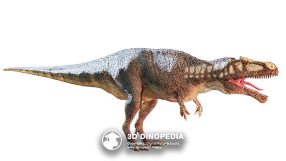 Triassic period Coelophysis 3D Dinopedia