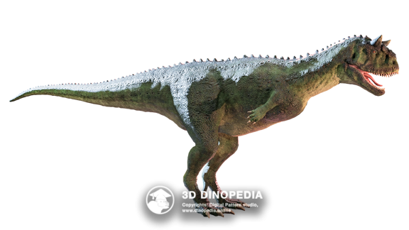 Carnotaurus 3D Dinopedia