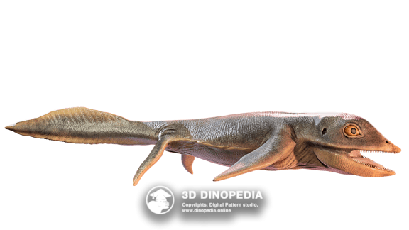 Permian period Helicoprion 3D Dinopedia