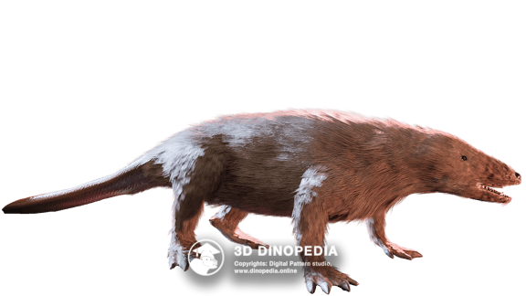 Касторокауда