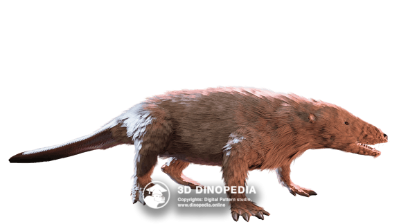 Jurassic period Megazostrodon 3D Dinopedia