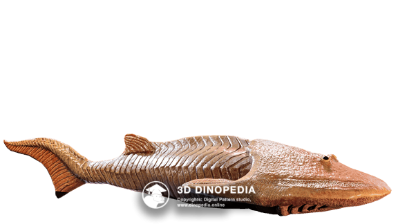 Cephalaspis 3D Dinopedia