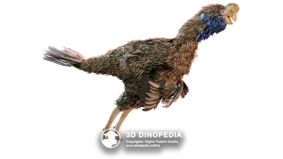 Citipati 3D Dinopedia