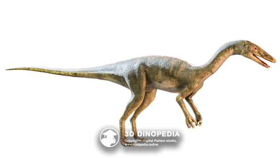 Triassic period Coelophysis | 3D Dinopedia
