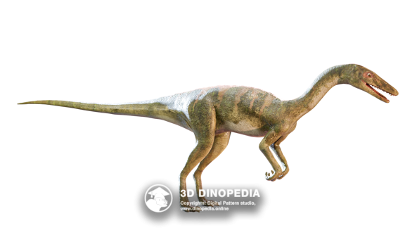 Cambrian period Pikaia 3D Dinopedia