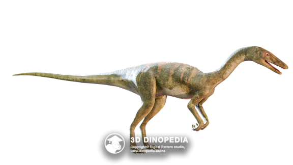 Целофизис 3D Dinopedia