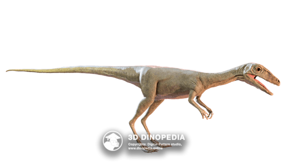 Cretaceous period Kelmayisaurus 3D Dinopedia
