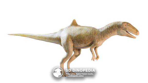 Concavenator 3D Dinopedia