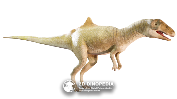 Cretaceous period Velociraptor 3D Dinopedia