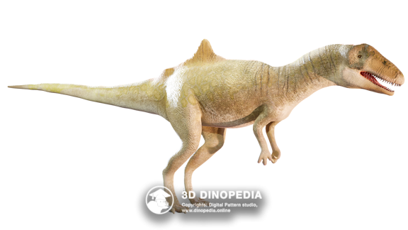 Concavenator 3D Dinopedia