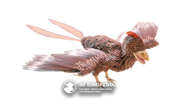 Меловой период Конфуциусорнис | 3D Dinopedia