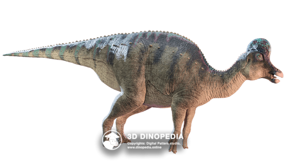 Cretaceous period Corythosaurus | 3D Dinopedia