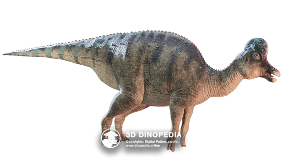 Cretaceous period Parasaurolophus 3D Dinopedia