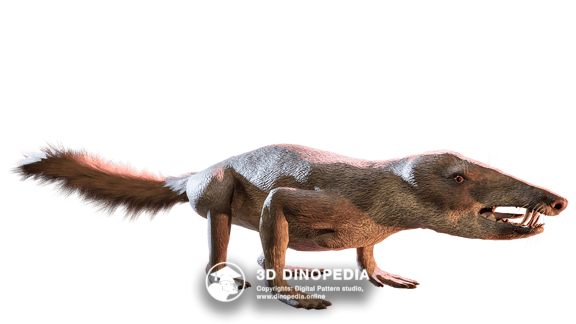 Neogene period Megalodon 3D Dinopedia