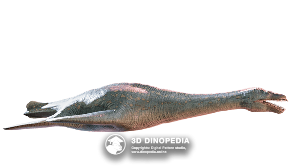 Cretaceous period Therizinosaurus 3D Dinopedia