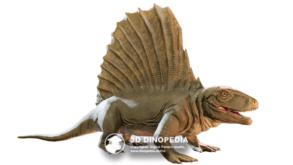 Dimetrodon 3D Dinopedia