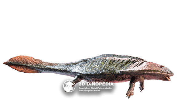 Diplocaulus 3D Dinopedia