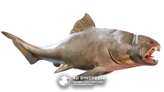 Dunkleosteus 3D Dinopedia