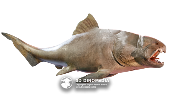 Devonian period Dunkleosteus | 3D Dinopedia