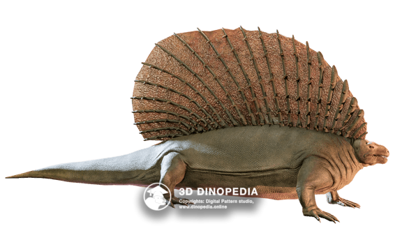 Cretaceous period Mosasaurus 3D Dinopedia