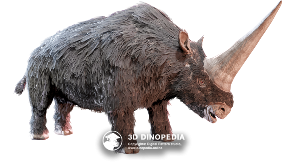 Quaternary period Elasmotherium | 3D Dinopedia