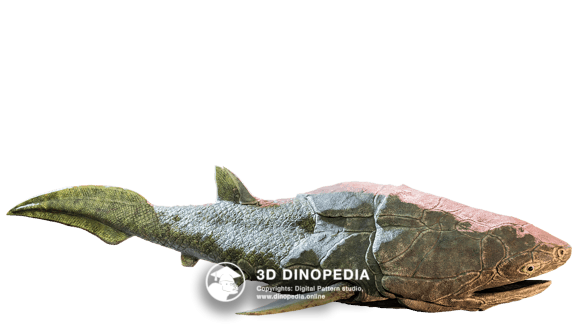 Юрский период Анурогнат 3D Dinopedia