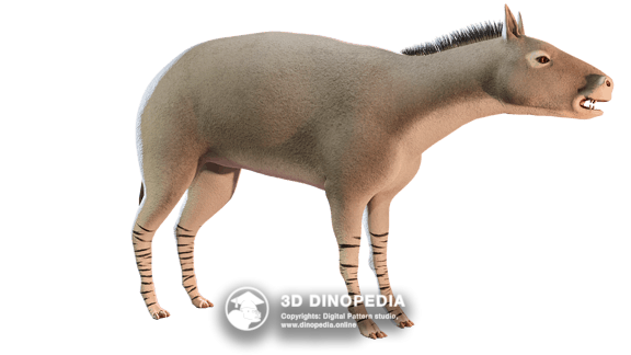 Eohippus 3D Dinopedia
