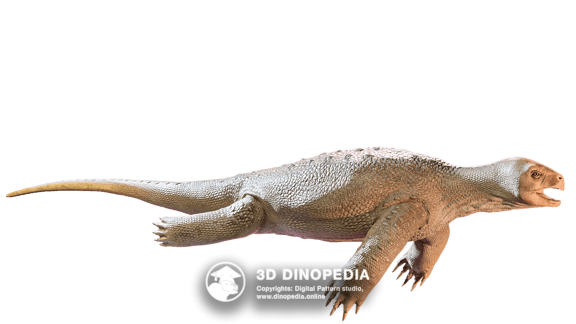 Triassic period Eorhynchochelys | 3D Dinopedia