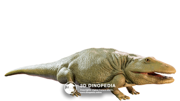 Carboniferous period Eryops | 3D Dinopedia
