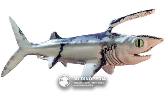 Фалькат | Каменноугольный период | 3D Dinopedia