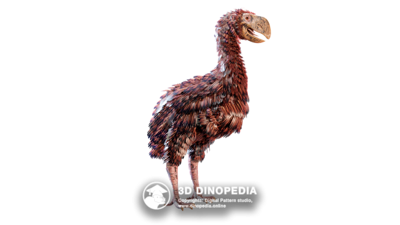 Гасторнис 3D Dinopedia