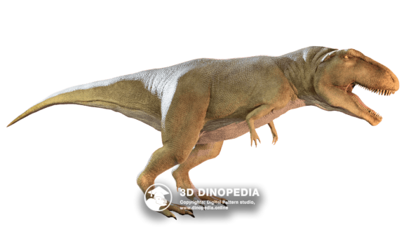 Cretaceous period Struthiomimus 3D Dinopedia