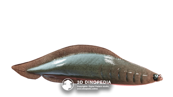 Triassic period Liliensternus 3D Dinopedia