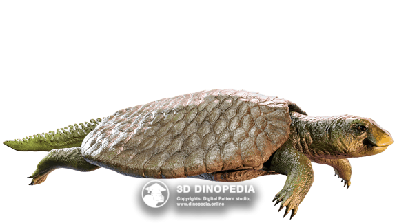 Triassic period Henodus | 3D Dinopedia
