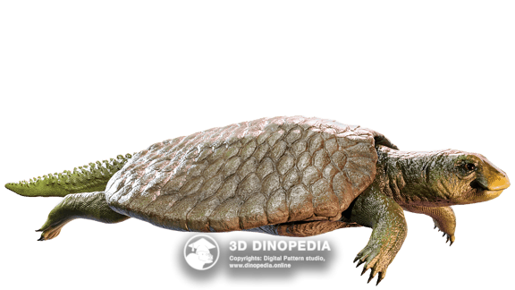 Cretaceous period Saltasaurus 3D Dinopedia