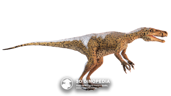 Triassic period Herrerasaurus | 3D Dinopedia