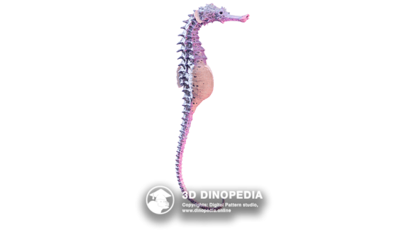 Неогеновый период Гиппокамп 3D Dinopedia