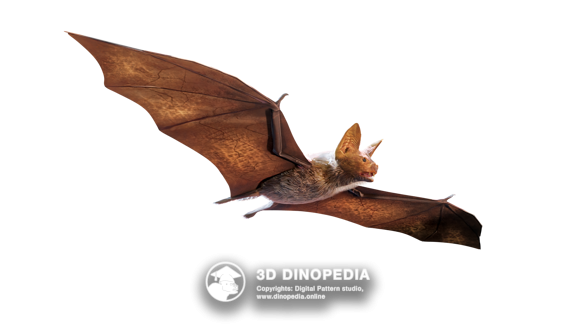 Триасовый период Проганохелис 3D Dinopedia