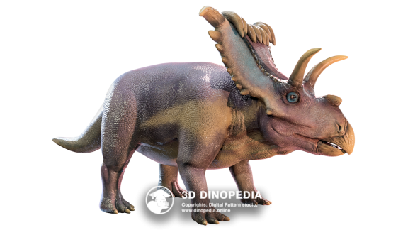 Cretaceous period Medusaceratops 3D Dinopedia