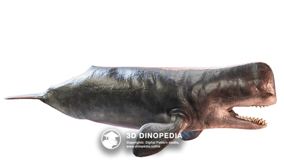 Левиафан 3D Dinopedia