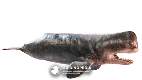 Cretaceous period Deinosuchus 3D Dinopedia