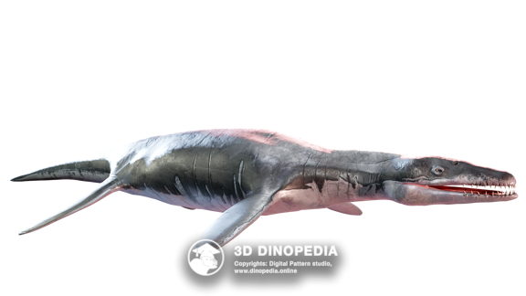 Jurassic period Liopleurodon 3D Dinopedia