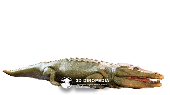 Cretaceous period Opisthocoelicaudia 3D Dinopedia