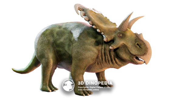 Медузацератопс 3D Dinopedia