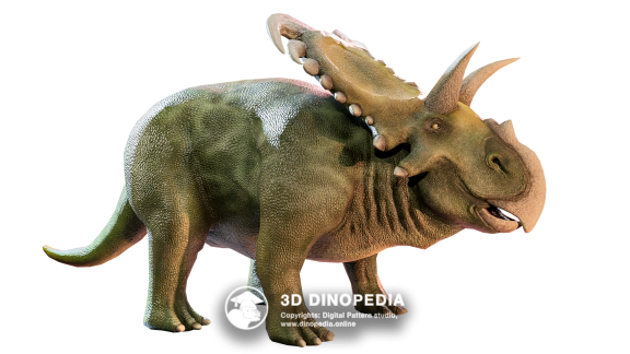 Triassic period Helveticosaurus 3D Dinopedia