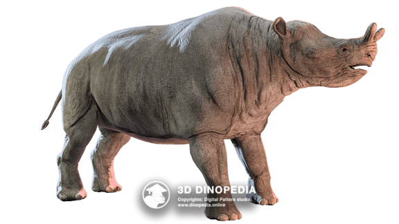 Paleogene period Anthracotherium 3D Dinopedia