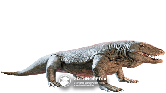 Megalania | Quaternary period | 3D Dinopedia