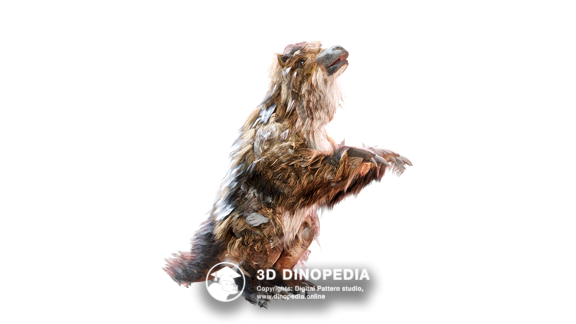 Megatherium 3D Dinopedia