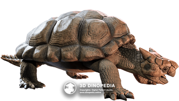 Neogene period Meiolania | 3D Dinopedia