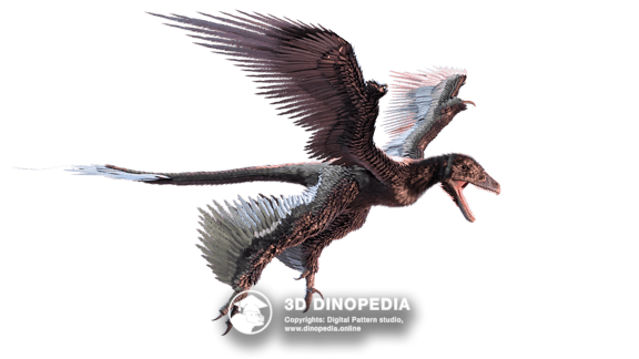 Microraptor 3D Dinopedia